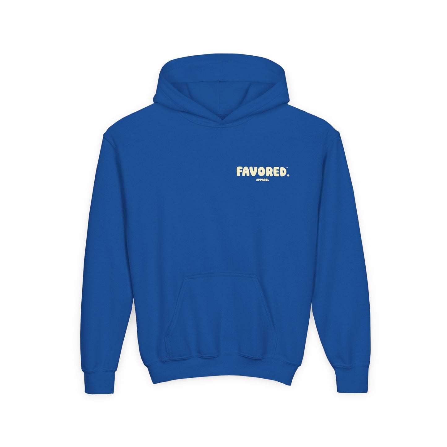 FAVORED. Kids Glory to The Father! Hoodie
